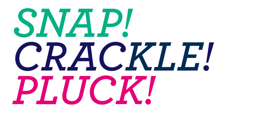2014_snapcracklepop
