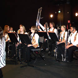 Contra-bass clarinet